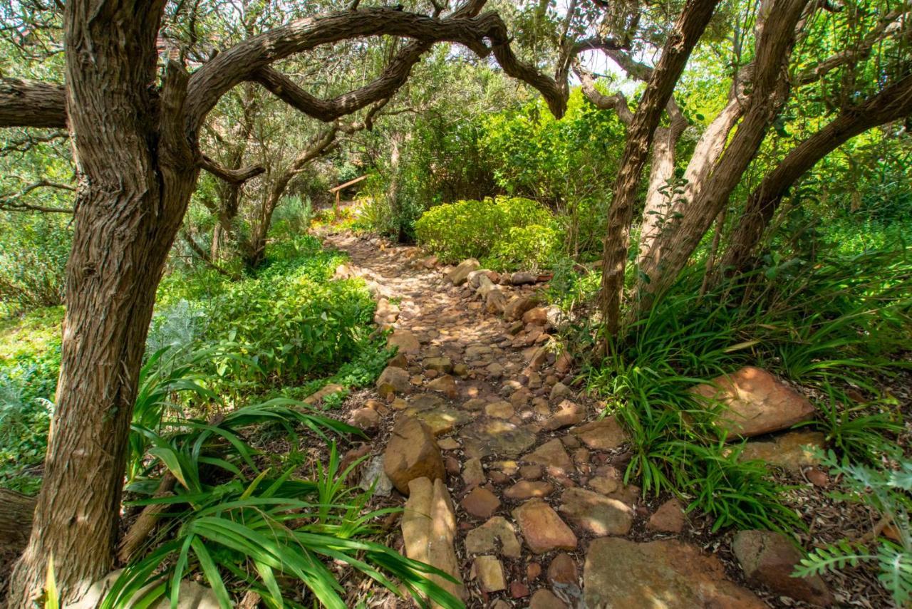 Makapa Lodge Cape Town Exterior photo