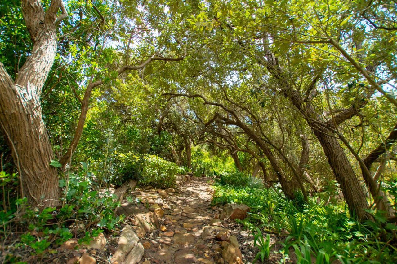Makapa Lodge Cape Town Exterior photo