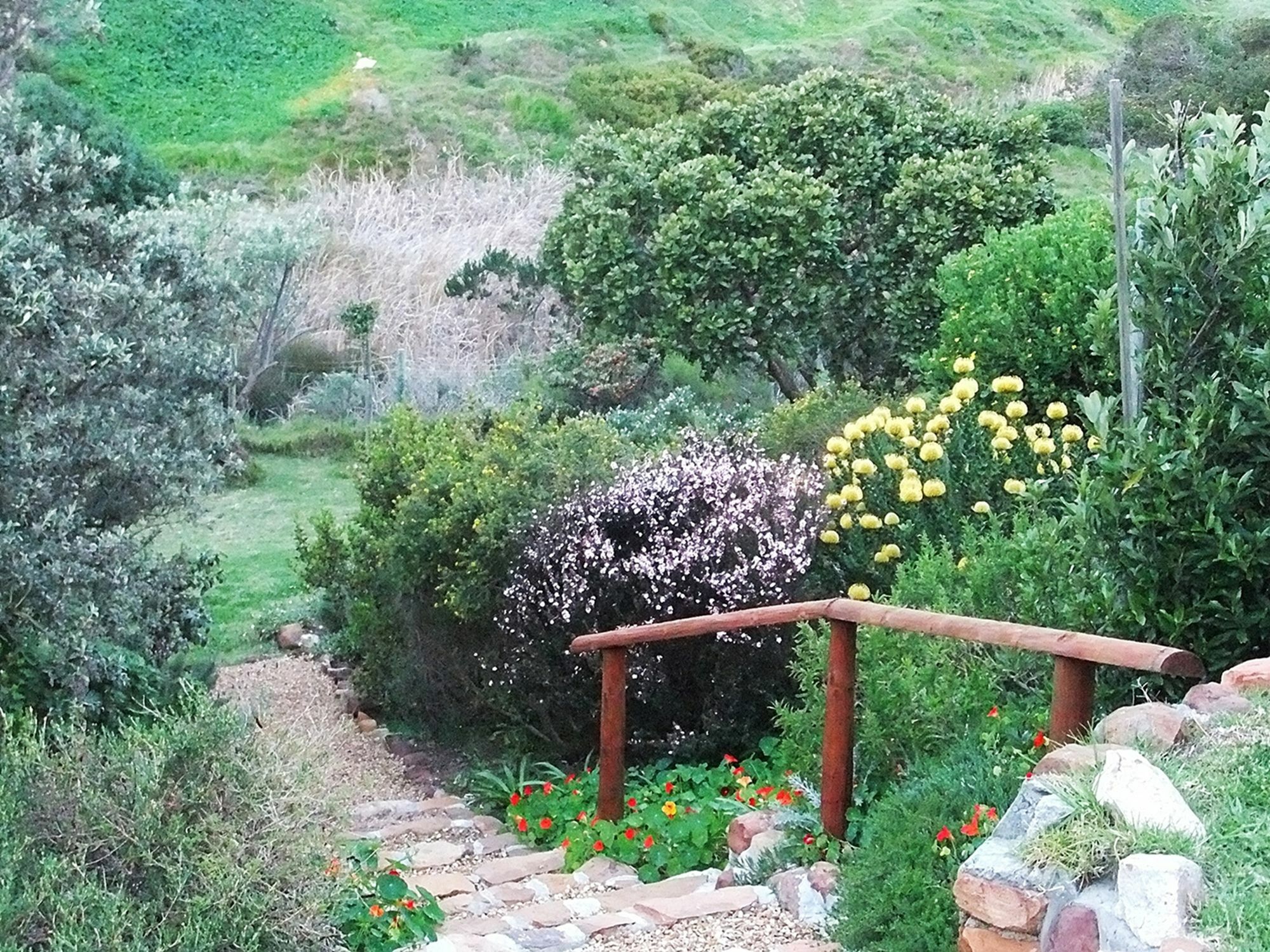 Makapa Lodge Cape Town Exterior photo