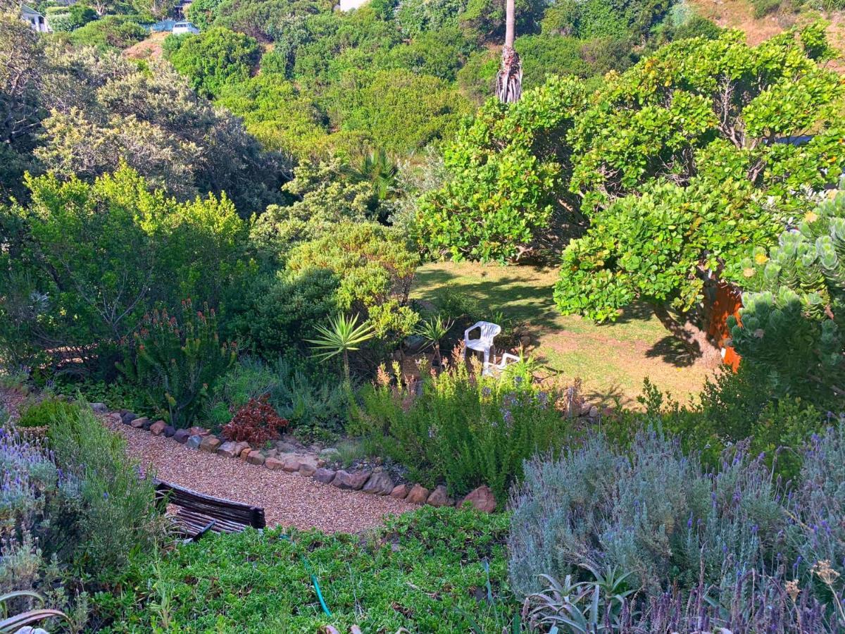 Makapa Lodge Cape Town Exterior photo